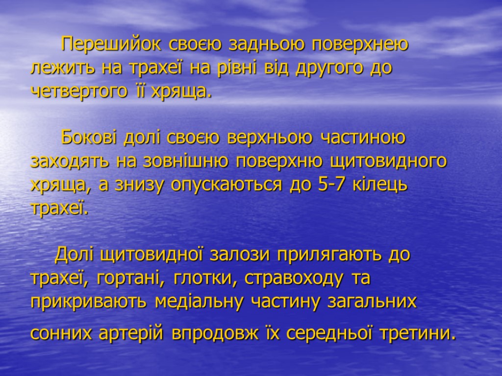 Перешийок своєю задньою поверхнею лежить на трахеї на рівні від другого до четвертого її